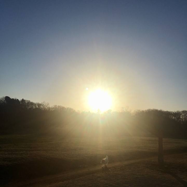 662c4625 cf09 49b7 ae3b db5a17676bf8 1520893727538