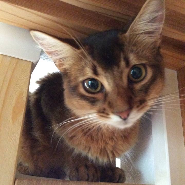 662c5c24 bb13 462c 9d0a 3509262cc633 1567649146973