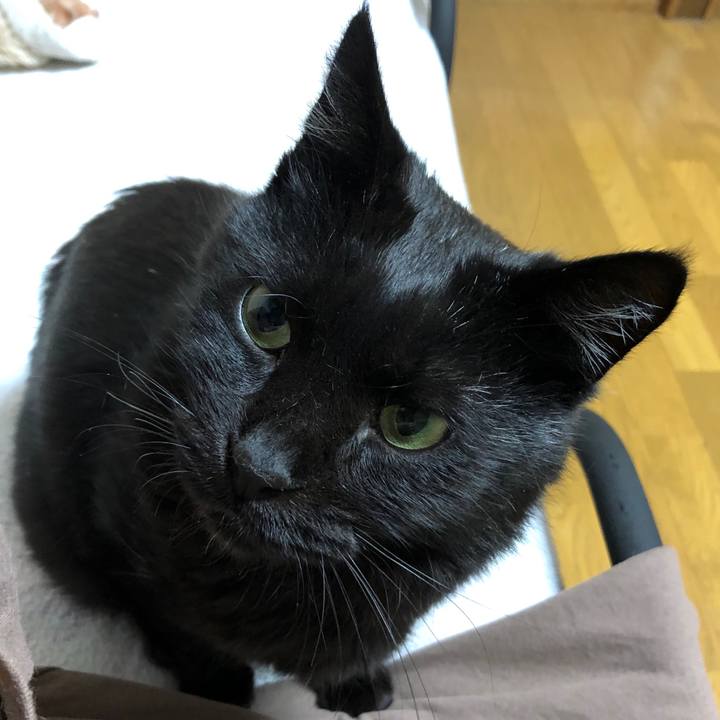 662c643e 8343 4628 b502 59cdd0bb5266 1603444082618