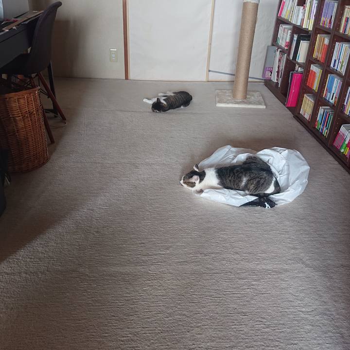 662c9e6b 2e73 4d77 9de1 e43d9a2a42ee 1689381610159