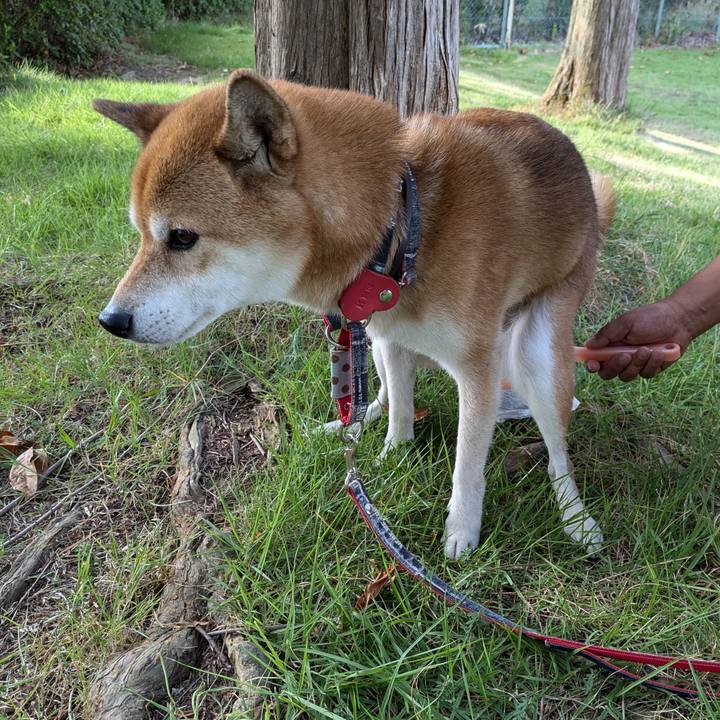 662cc1e2 9d19 4144 9424 b6c57cdb0b5e 1723558229870