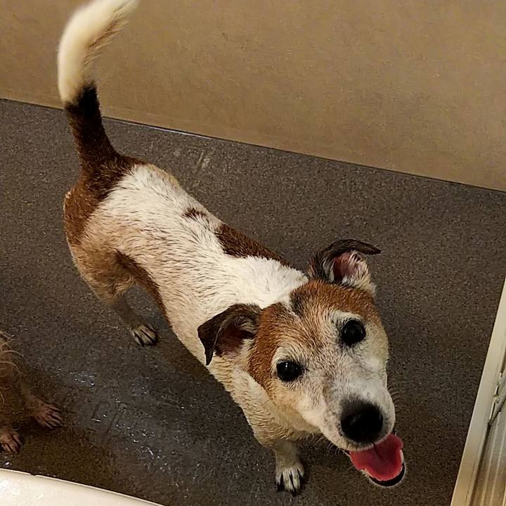 662cd282 eca7 48da b184 2d4838e603f5 1547297261018