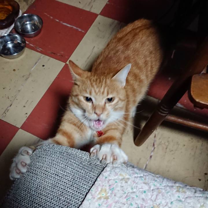 662d07c3 75d9 465f 9a35 e3a95decb6a0 1570393835013