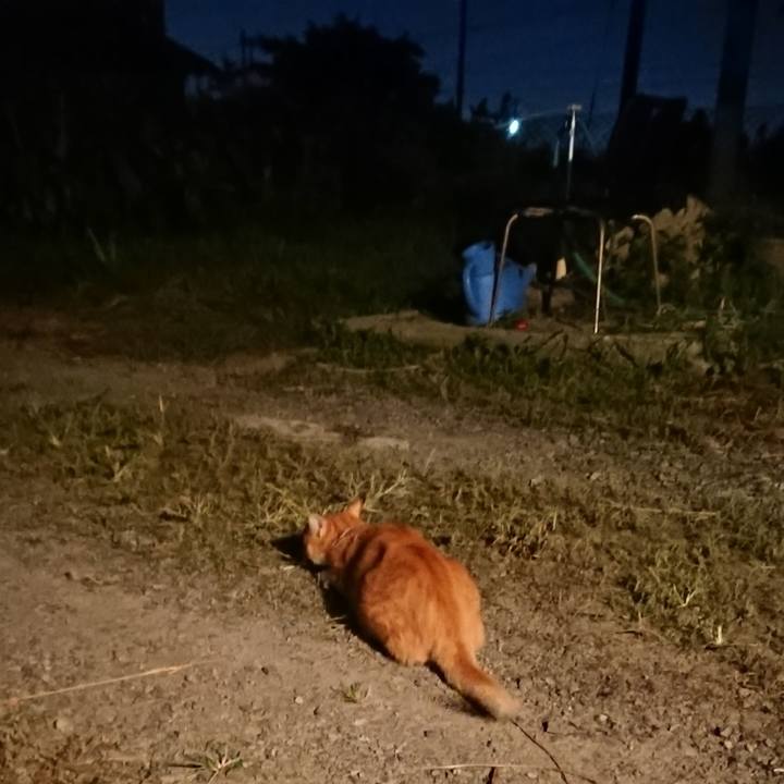 662d07f7 cf62 42d4 b4fd 5bb06af28ce5 1568368842480