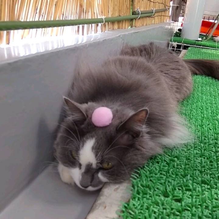 662d1752 bec2 437a 828c e6020d96b474 1649567536048