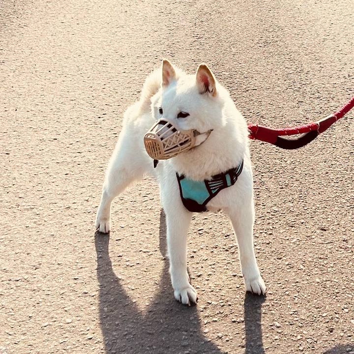 662d8746 de3f 4820 8f1b 57e7bc5914e4 1686432486825