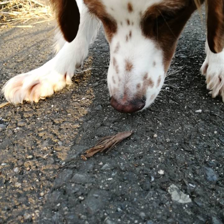 662de1cd c93b 4175 ba07 e33a045ca2eb 1574497093010