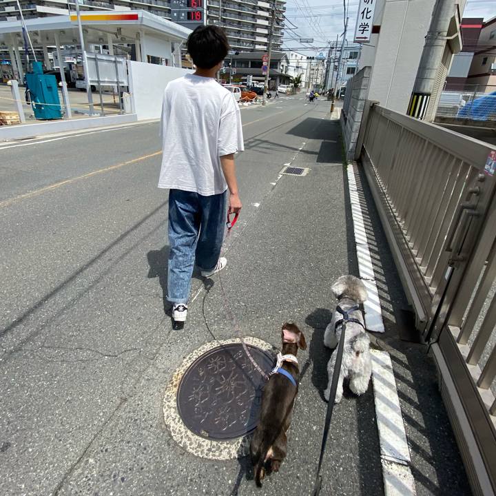 662deb60 b656 4e2b 8b31 35daed391f1e 1619844144488