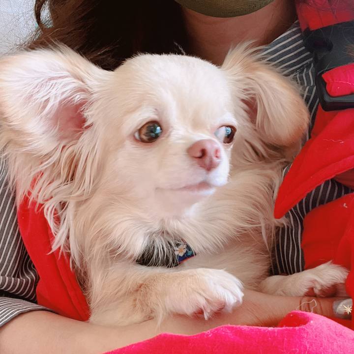 662e56a7 fcb1 4f19 86f0 f6b4a4e07369 1654572766726