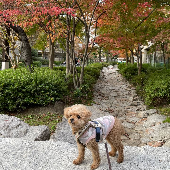 662e69f9 40da 43dc af1c 4c2db4c4b9f7 1763901932941