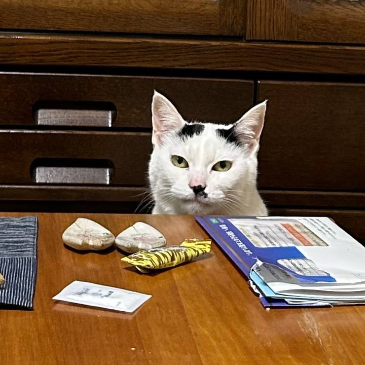 662eabda 8a3e 4025 9929 9c669ee554be 1739533119212