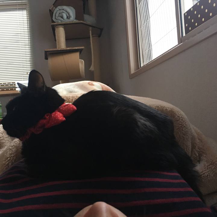 662eb576 0e1d 49df 9788 49510aaf151c 1552943149152