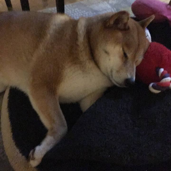 662ec2e6 f7ae 4e84 8b57 278768290985 1560137689470