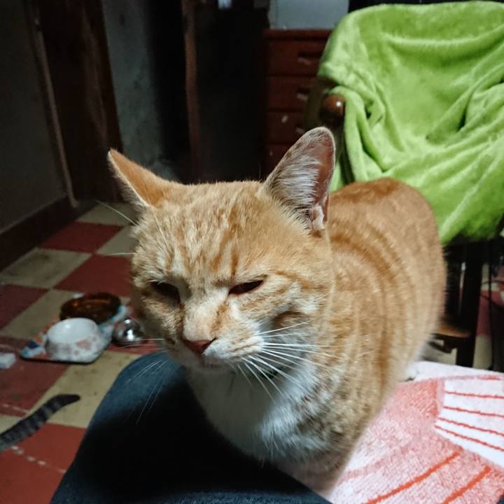 662ee3d4 192a 4f17 b184 b9e87d4b6186 1583956602839