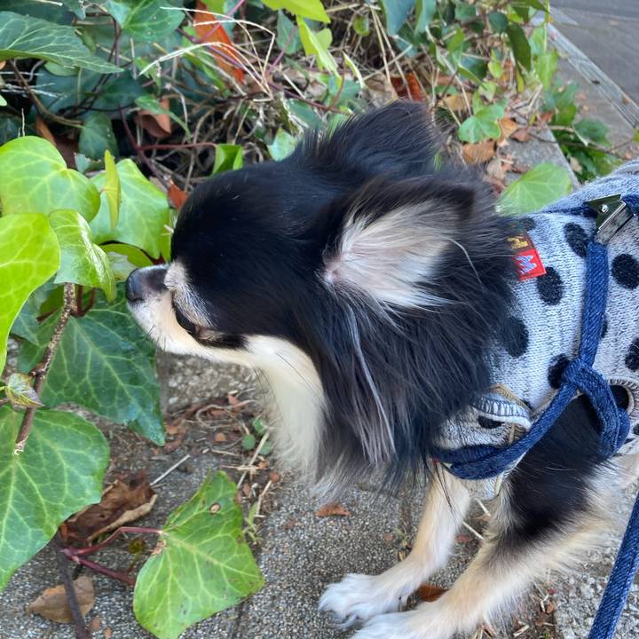 662f0937 e41c 4cf2 9f94 9b4c0a519c62 1638080357793