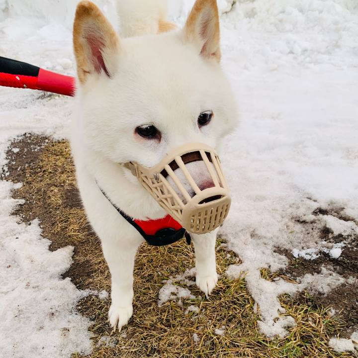 662f1fbb eaa9 40bc b147 e656d3e77541 1677710351850