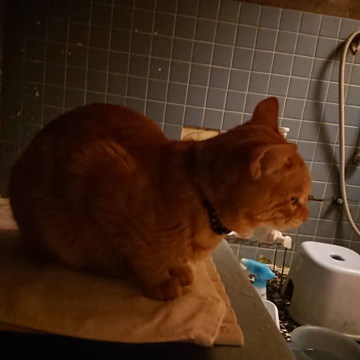 662f3243 5c54 4c70 aa47 e3e10dfda5f7 1642324907612