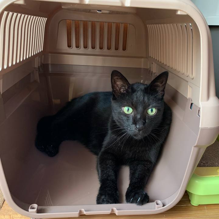 662f53b9 6dec 4f5e 9607 971972f537f7 1597279078961