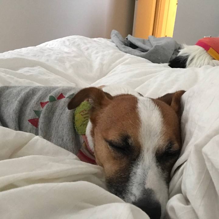 662f9cf3 f8d4 4ed9 be3f 4a5b5776fa7c 1508715826075