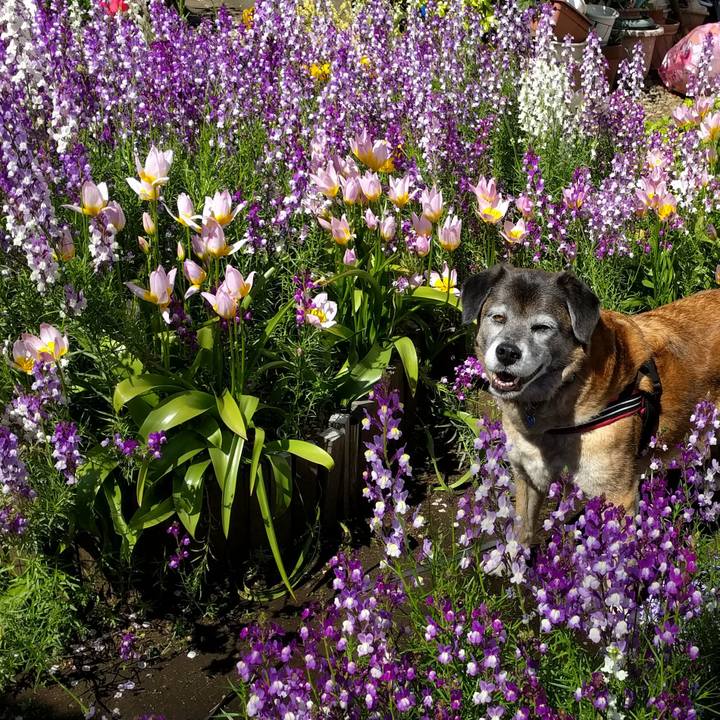 662fc223 309a 4b0e ad64 ea0adab4e13f 1555375243933