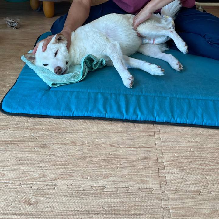 662ffde0 f72c 471d a911 41fa45418174 1663679797444