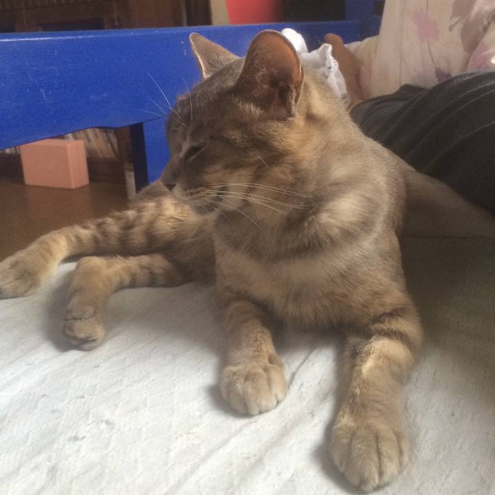 66301e57 d8f7 46ce 8f50 a0e8d1eb07f2 1561821396129