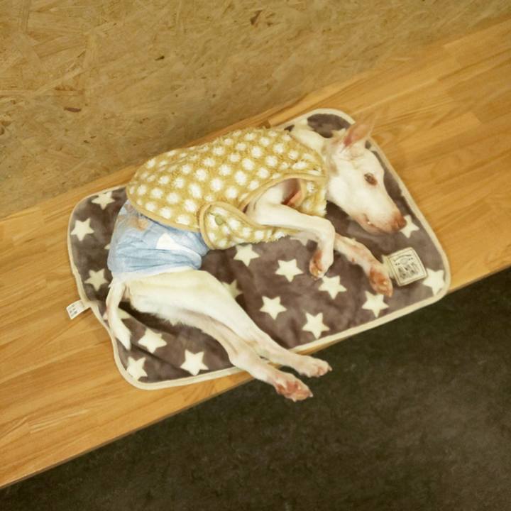 66305050 3b0f 4137 a782 452c5f236c72 1616960500778