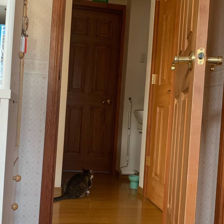 663061a7 6250 45de 9a59 a731722e71e9 1632001716553