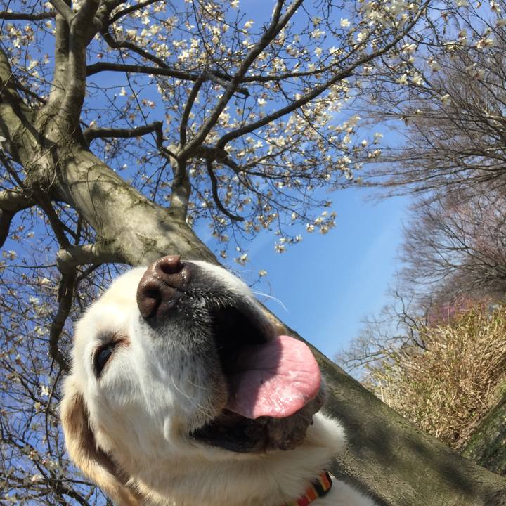 66307943 fdff 4d66 aea4 89a71d4c45e7 1523330619012