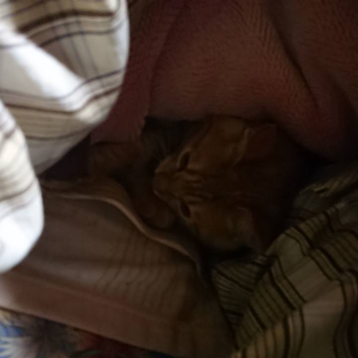 66307f81 6c84 40c6 84ad dc1df048e863 1638218691272