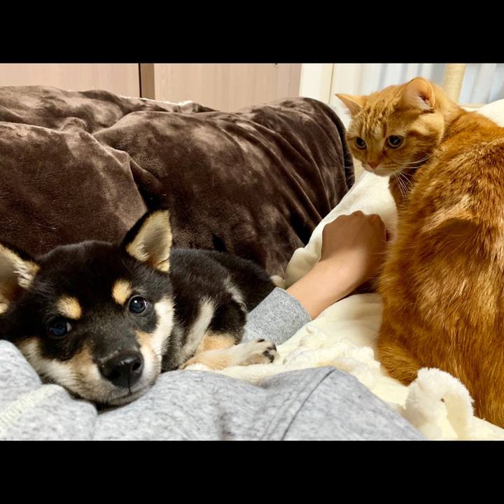 66309073 e205 49d9 b966 a7508505ffcb 1556600345466