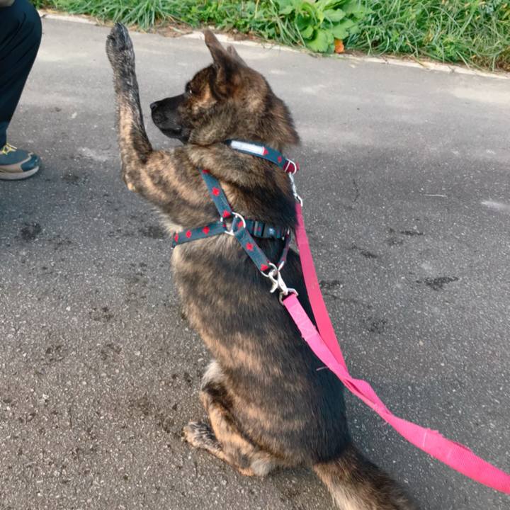 66309e59 00c5 4bad 89a3 106b04743275 1508977569187