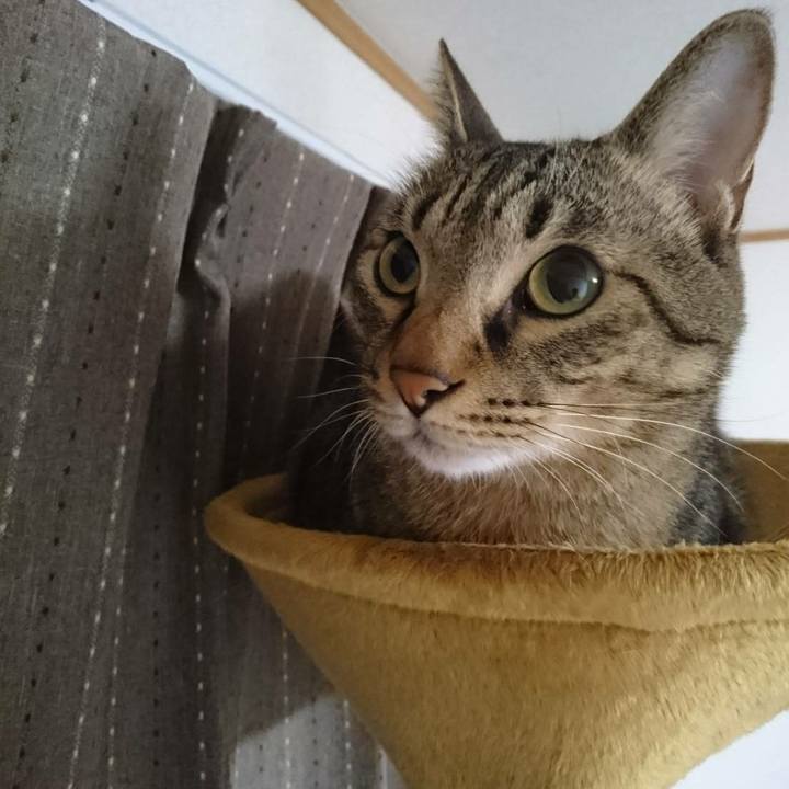 6630a6bb 3d96 4caa b1b4 f768372d1430 1507760510983