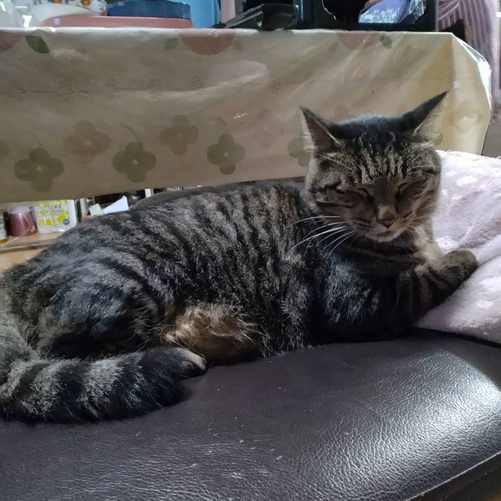 6630bcf4 ff49 46b1 a8e4 c992ee97e301 1695677692508