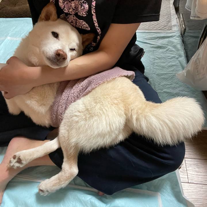 6630bd03 5f20 4db7 9149 3a693b937843 1637164048653