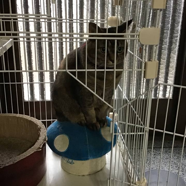 6630d7d5 22f3 4feb 9c36 2dbdc16c0b1c 1738474867768