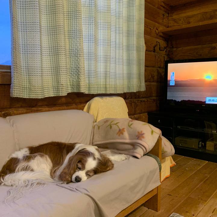 6630e519 a541 4e1d a773 7bcda416d6c2 1594894478206