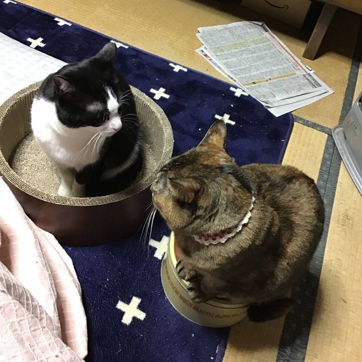 66310983 f94c 422b 855f 5450d35fade4 1710241389692