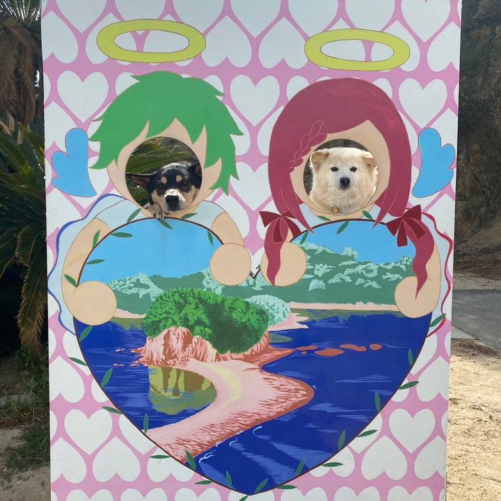 66310a6c 64ac 4b6f adfa ce60039accfd 1678676791743