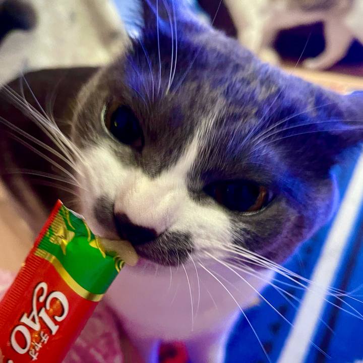 66312d04 1781 468a bbea 313da634a607 1628677008279