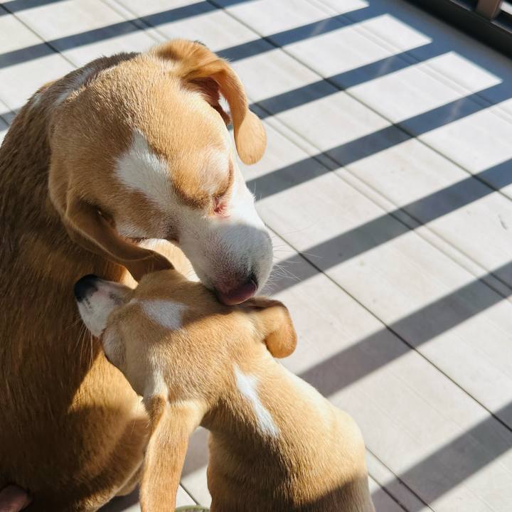 6631621e fa7d 47c5 b853 5621b5076f78 1703474062160