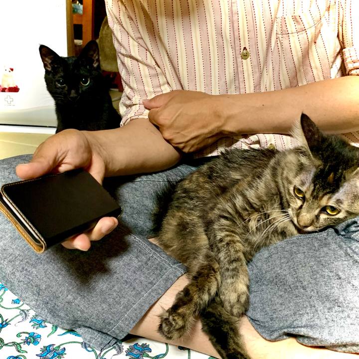 66316ca9 0102 47a7 9dd7 f711920ff973 1652191394772