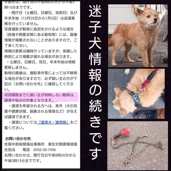 6631989b 0d41 4e0b 82bb 683886b7522c 1644463966099