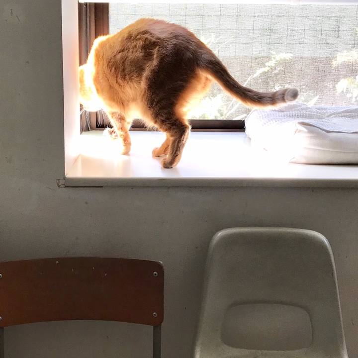 6631b62d 4ce4 41b4 a65e bcff91ece476 1560218524748