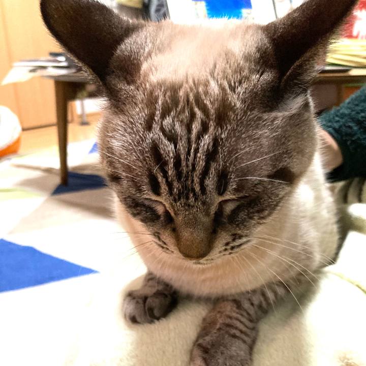 6631c2b9 bc0b 456a 9d69 222b126f8199 1768198255784