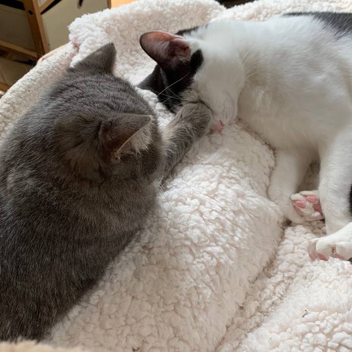 6631d515 a294 40e4 a3eb 5fb77c6b46c4 1548644694494