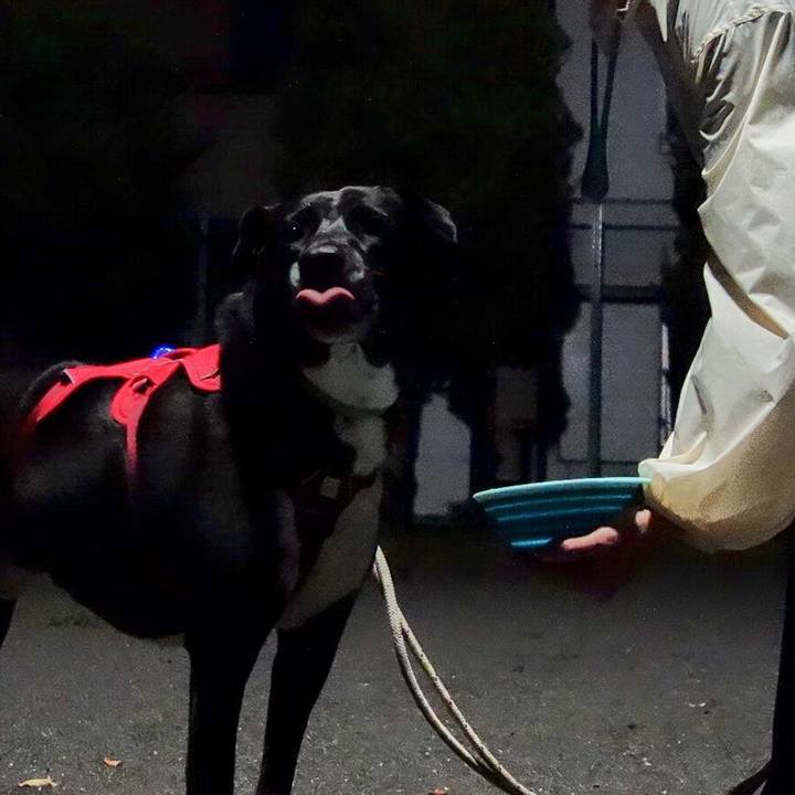 6631ea77 52d7 4eef bd50 85ad6600a2b0 1665657679166