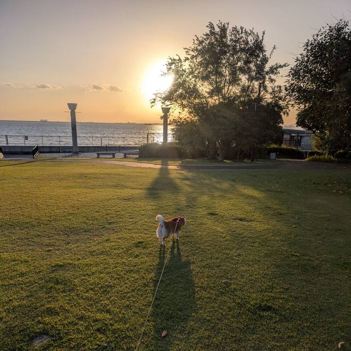 66324948 94bd 4325 9ec4 f575cb02f3b0 1762765076591