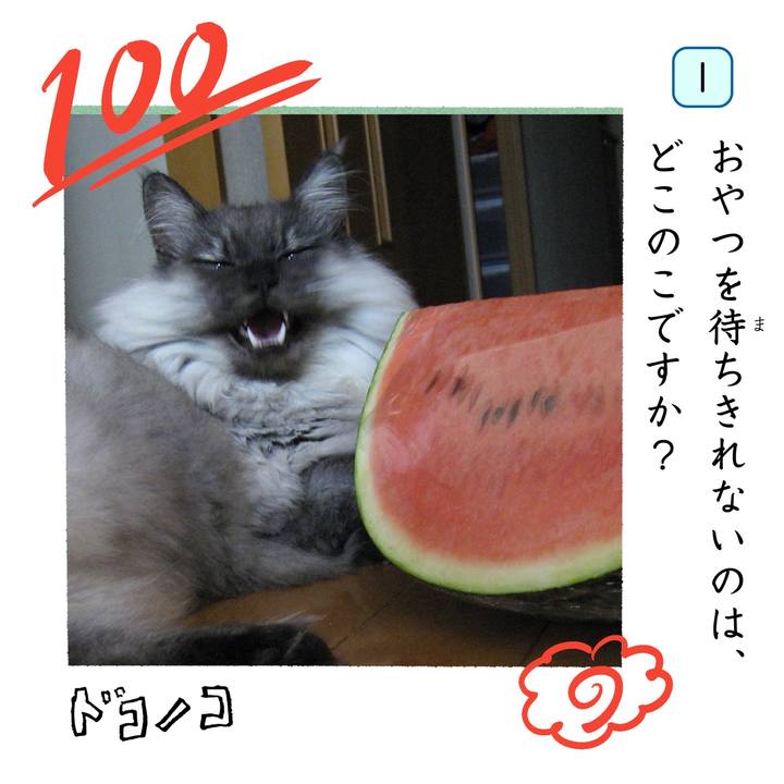 66327458 9724 4ef9 9b51 43c9b1e21b1a 1744468857494