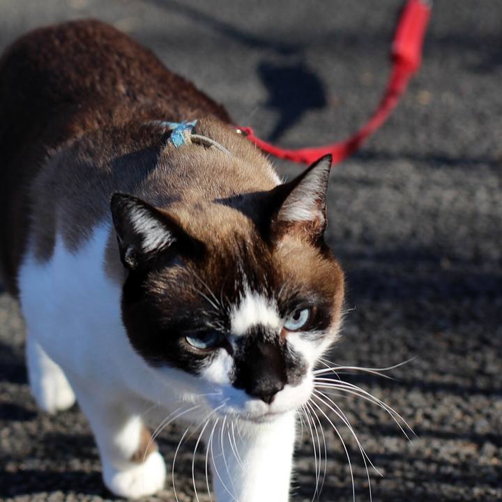 6632a0d1 d540 4dfe b2de ba27260460a3 1515372711090